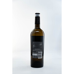 Cuvee 2023
