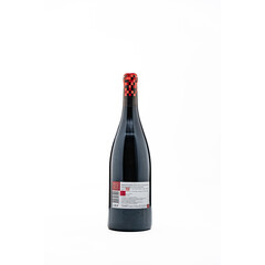 Red wine Regent Pixels 2020 0.75 l. New Bloom Winery