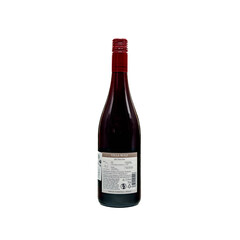 wine Pinot Noir Single Varietal Palatinate 2021