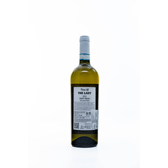White wine Pinot Grigio De Lady del Venezie DOC 2022.