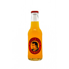 Carbonated drink Thomas Henry Mystic Mango 0,20l. Germany