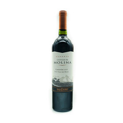 Red wine Carmenere Reserva Castillo de Molina Via del Maule DO 2018.