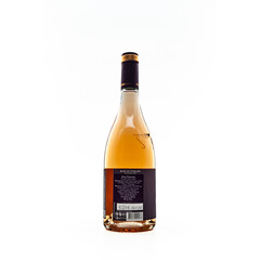 wine Rose Nocturne 2022