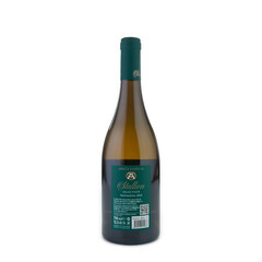 Vermentino Stallion Selection 2023