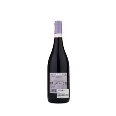 Red wine Montepulciano d'Abruzzo Bayo DOC 2021