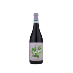 Red wine Montepulciano d'Abruzzo Bayo DOC 2021
