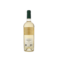 white wine Viognier 2024