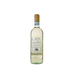 white wine Orvieto Classico DOC 2024