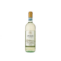 white wine Orvieto Classico DOC 2024