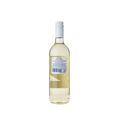 Rive di Venezia Pinot Grigio 2024