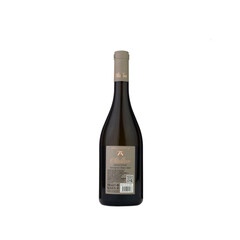 wine Stallion Selection Sauvignon Blanc 2024