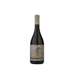 wine Stallion Selection Sauvignon Blanc 2024