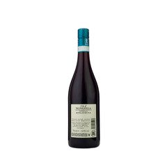 red wine Morandina Valpolicella DOC 2022