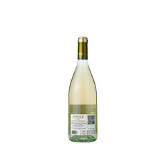 wine Nobile Cellar Selection Sauvignon Blanc 2024
