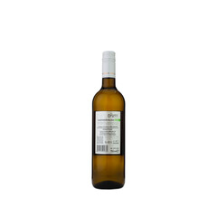 wine Sauvignon Blanc Simeonova Mogila  2024