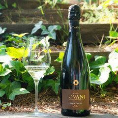 Sparkling wine Cava Grand Enriet Grand Reserva Nature Organic