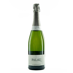 Sparkling wine Kava Palau Gaso Brut