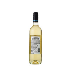white wine Sauvignon Blanc Trapiche 2024