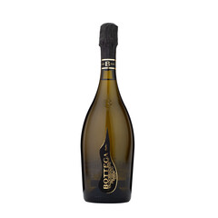 Prosecco Valdobbiadene Superiore Extra Dry Millesimato Bottega DOCG 2024