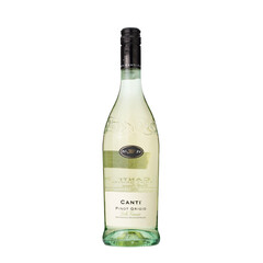 White wine Pinot Grigio Delle Venezie Canti DOC 2024