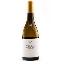 White wine Sauvignon Blanc 2023