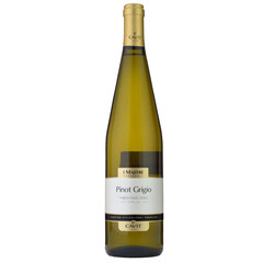 White wine Pinot Grigio Trentino Mastri Vernacoli DOC 2024