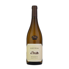white wine Collavini Benedete Ribolla Gialla IGT 2022