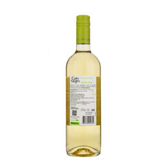 Sauvignon Blanc Gato Negro 2024
