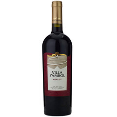 red wine Merlo 2024