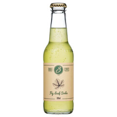 Fig Leaf Soda Three Cents