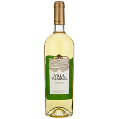 white wine Muscat 2024