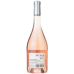 wine Rose Blush 2024
