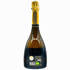 Gran Juvé & Camps Gran Reserva Brut Cava