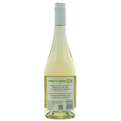 White wine Pinot Gris 2024