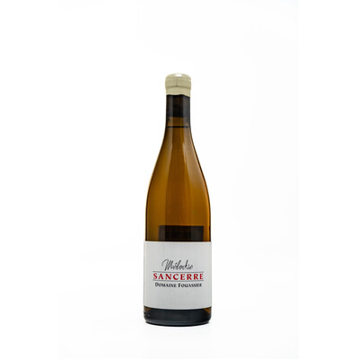 white wine Sancer Melody 2017 0.75 l. Domaine Foisier