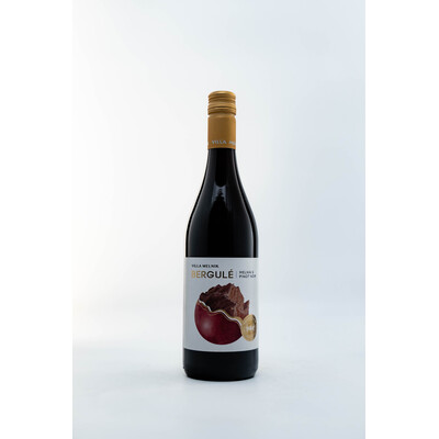 Red wine Melnik  and Pinot Noir Bergule 2020. 0.75 l. Villa Melnik