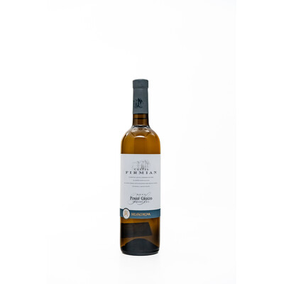 White wine Pinot Grigio Castel Firmian DOC 2022. 0.75 l. Mesacorona