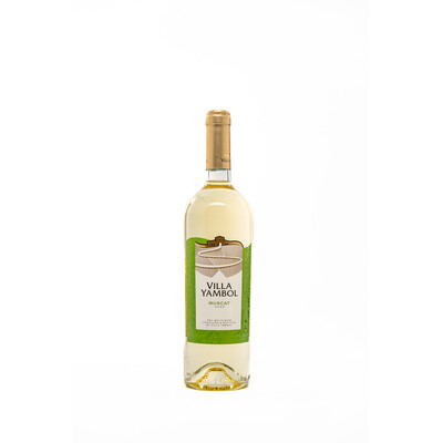 Бяло вино Мускат 2023г. 0,75л. Вила Ямбол