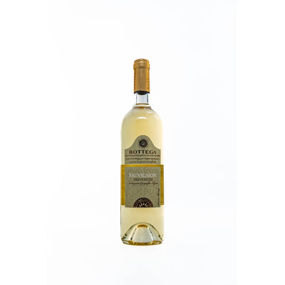 White wine Sauvignon Trevenetsie IGT 2022. 0.75 l. Bottega