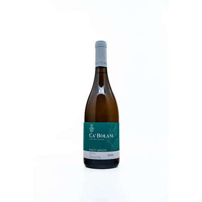 White wine Pinot Gris Friuli Aquilera DOC 2022. 0.75 l. Tenuta Ca' Bolani