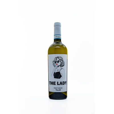 White wine Pinot Grigio De Lady del Venezie DOC 2022.