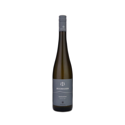 Riesling Gedersdorf 2022