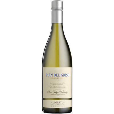 Pinot Grigio Pian del Grizo Conti Bossi Fedrigotti Valdadige DOC 2020