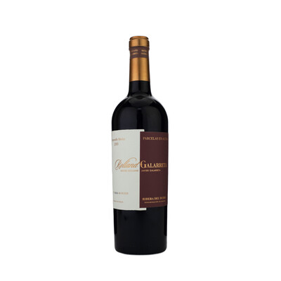 Red wine Tempranillo and Merlot Ribera del Duero DO 2019