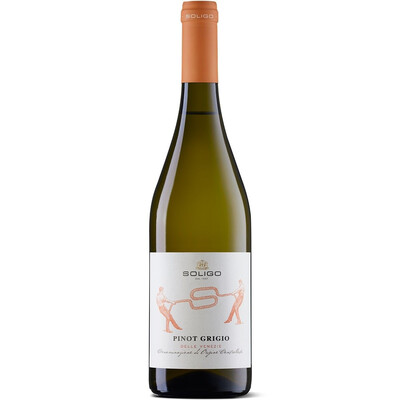 Pinot Grigio delle Venezie DOC Cantina
