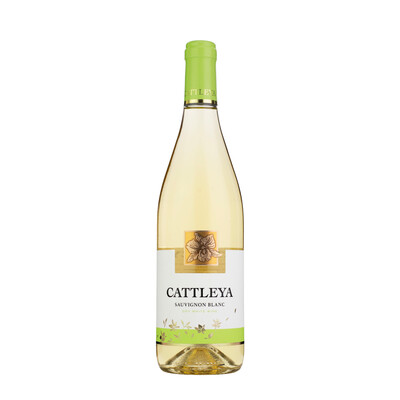 White wine Sauvignon Blanc Cattleya