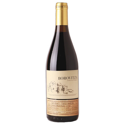 Red wine Gamza Black Pack 2022