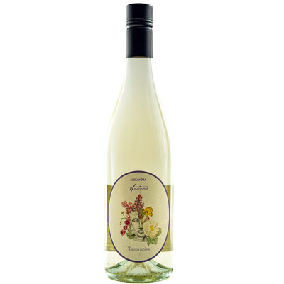 White wine Tamyanka Antinous 2024
