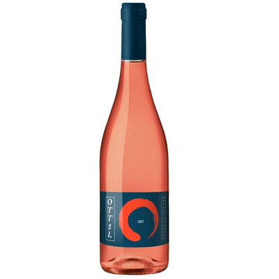 OTT1L Muscat Ottonel Orange Wine 2022 0.75