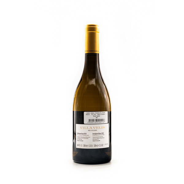 White wine Sauvignon Blanc 2023